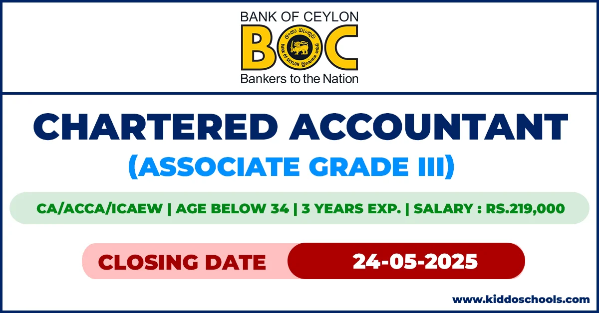 BOC Bank Job Vacancies 2025 - Chartered Accountant