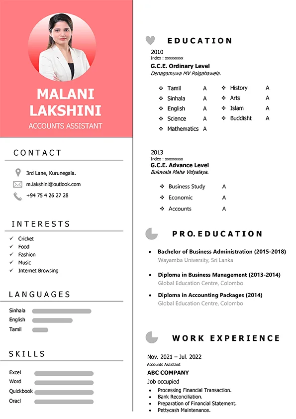 CV Template - Professional Resume 02