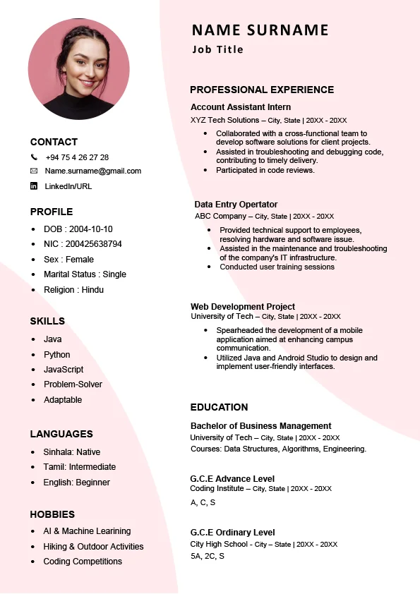 CV Template - Professional Resume 11