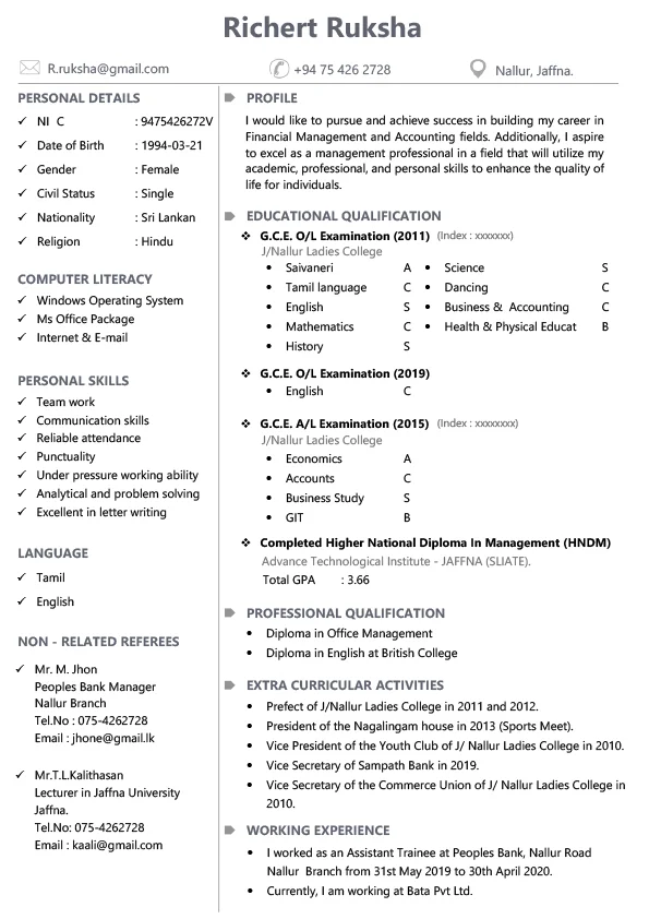 CV Template - Professional Resume 12