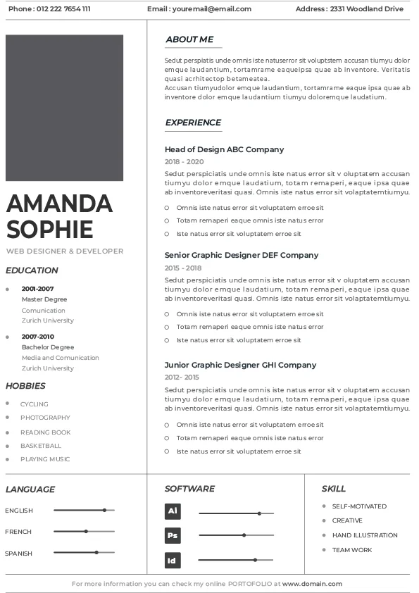 CV Template - Professional Resume 13