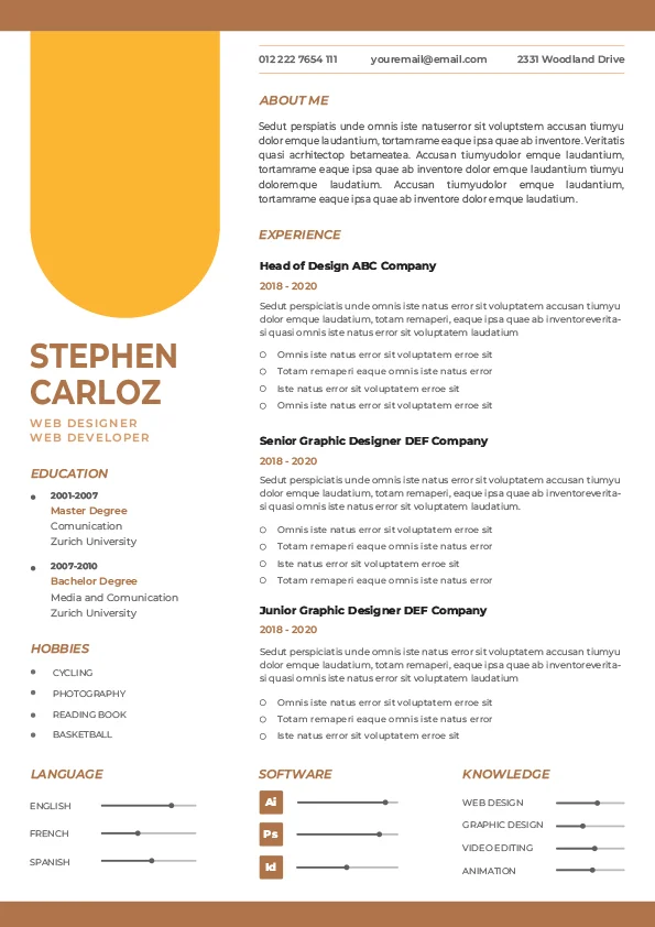 CV Template - Professional Resume 17
