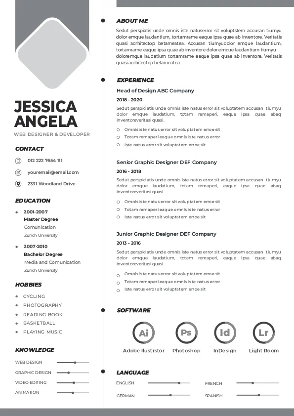 CV Template - Professional Resume 18