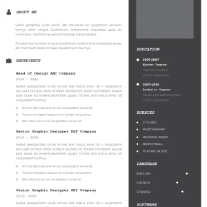 Basic CV Template 10