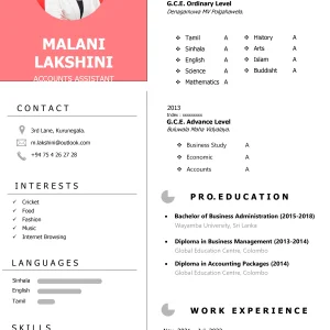 Basic CV Template 2