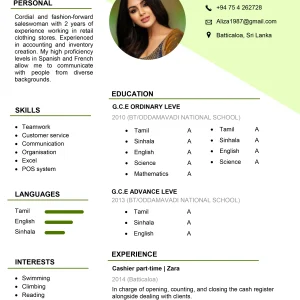Basic CV Template 3