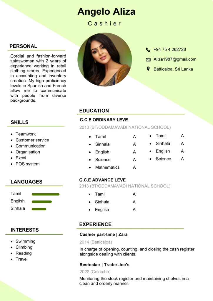 Basic CV Template 3