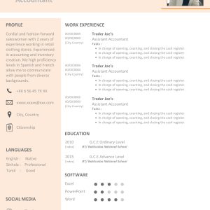 Basic CV Template 5
