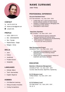Basic CV Template 6