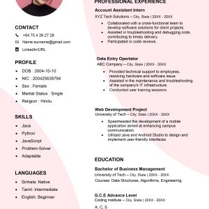Basic CV Template 6