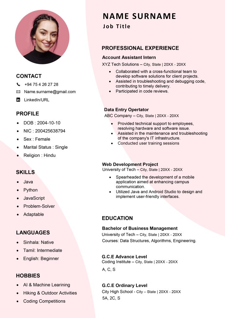 Basic CV Template 6