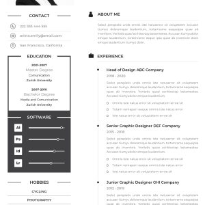Basic CV Template 7