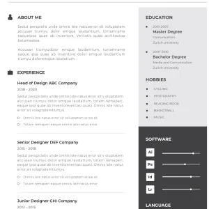 Basic CV Template 8