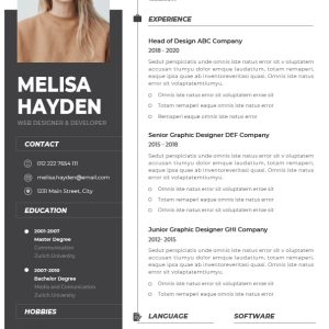 Basic CV Template 9