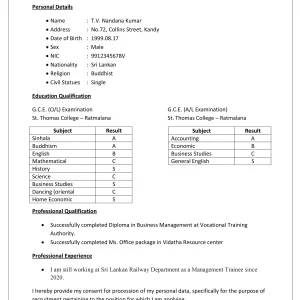 Entry Level CV 1 (Free)