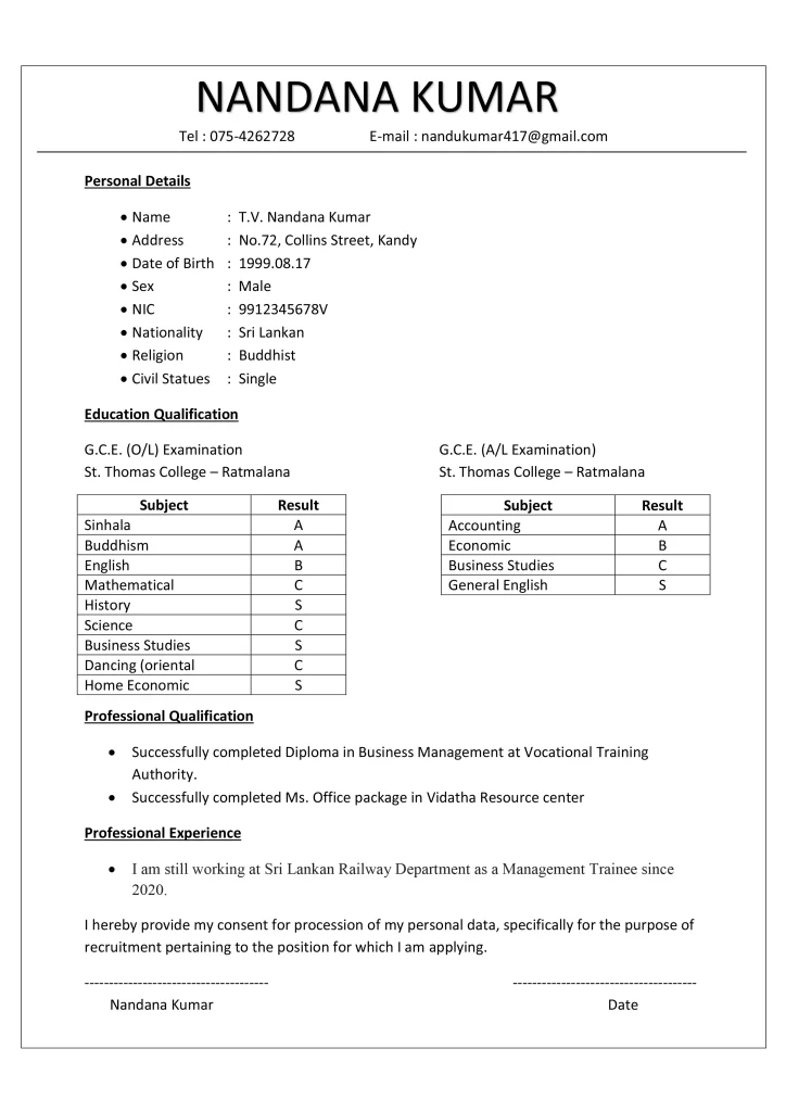 Entry Level CV 1 (Free)