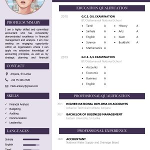 Basic CV Template 4