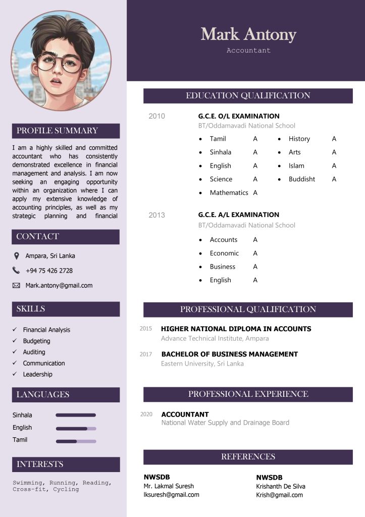 Basic CV Template 4