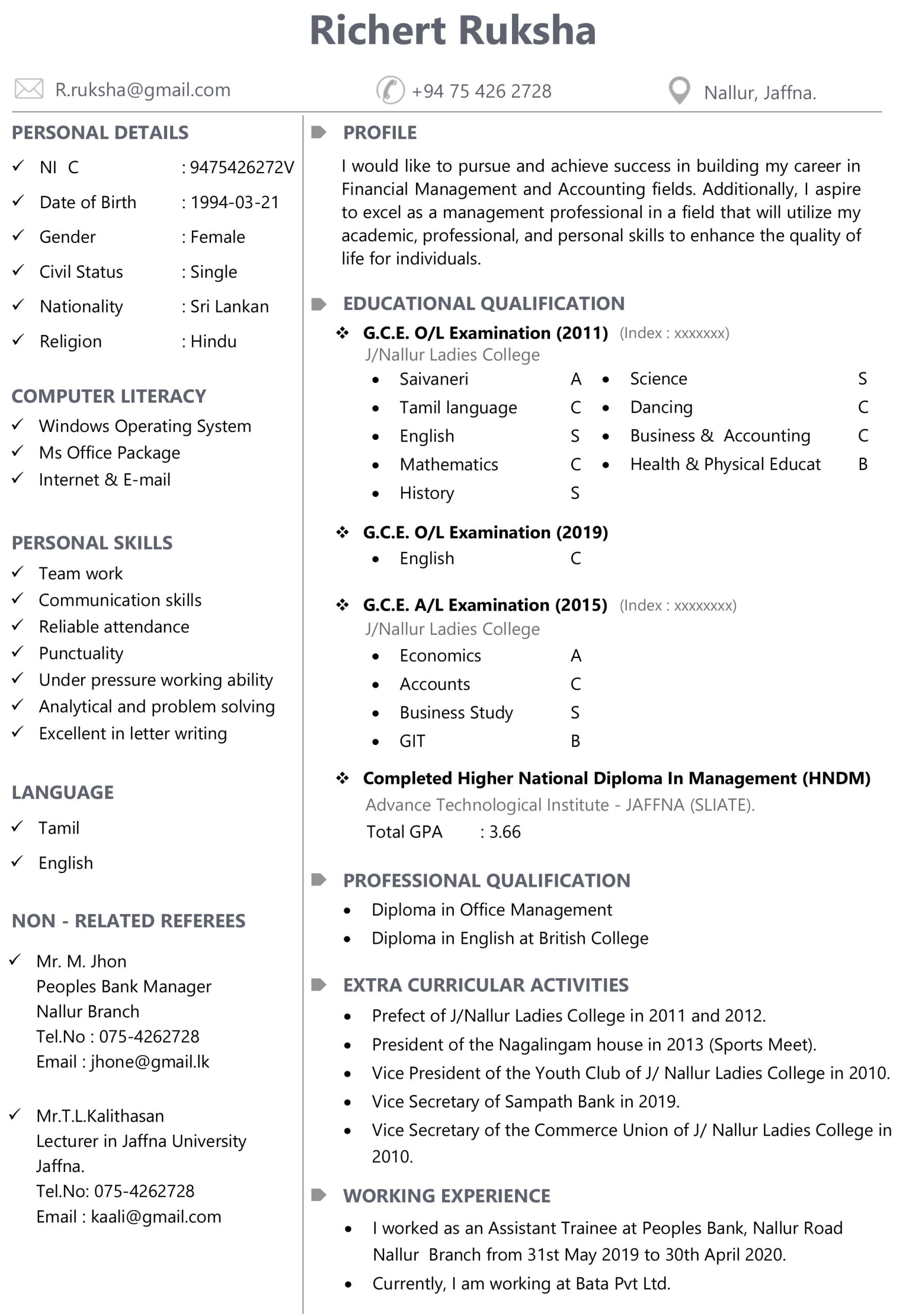 Professional CV Template 1