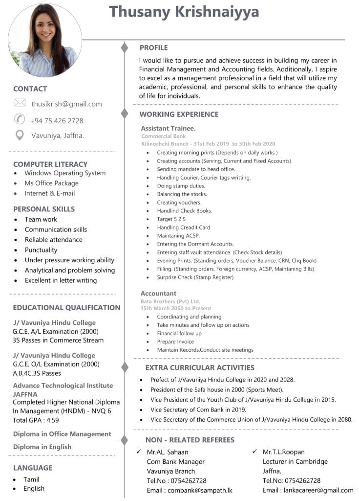 Professional CV Template 2