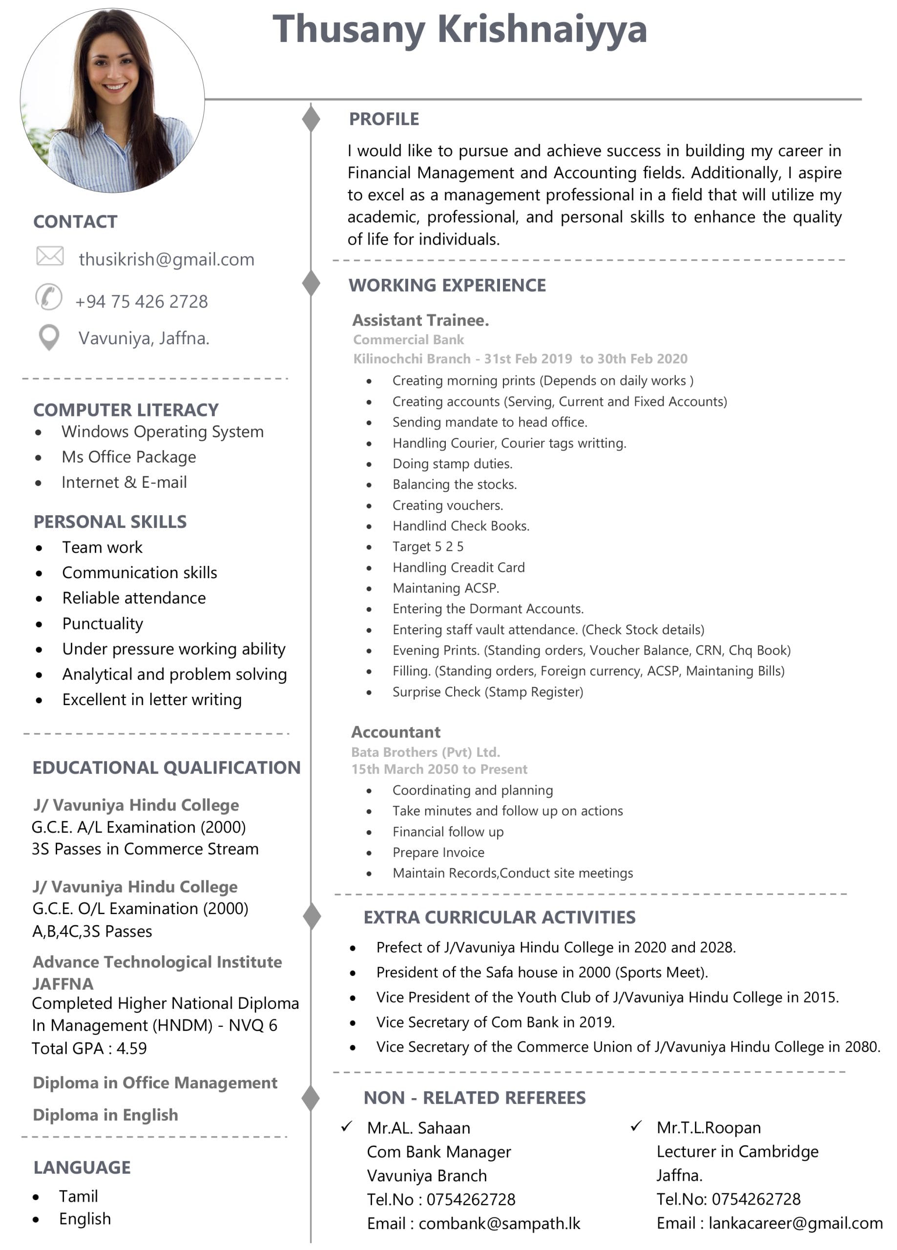 Professional CV Template 2