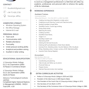 Professional CV Template 2