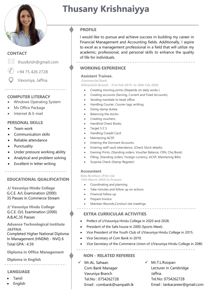 Professional CV Template 2