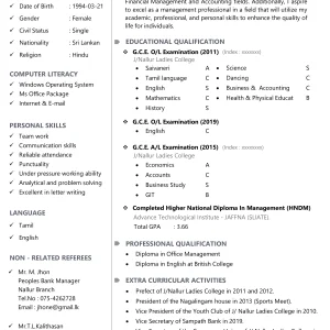 Professional CV Template 1