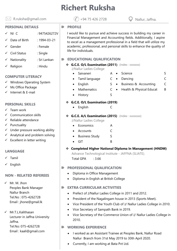Professional CV Template 1