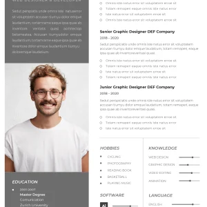 Professional CV Template 3