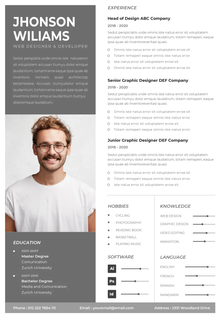 Professional CV Template 3