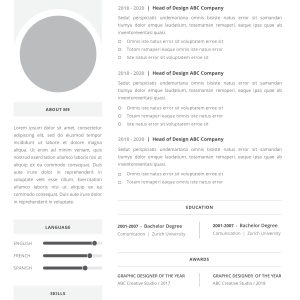 Professional CV Template 4