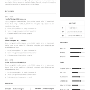 Professional CV Template 5
