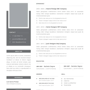 Professional CV Template 6