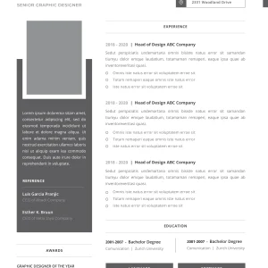 Professional CV Template 7