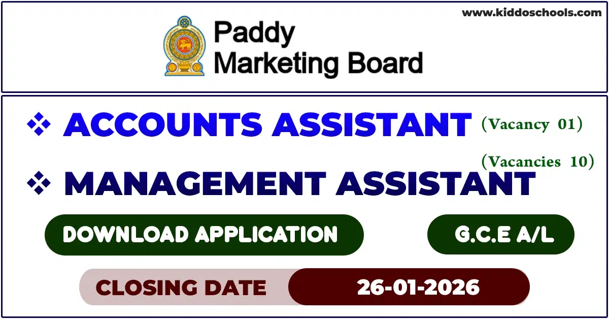 Paddy Marketing Board Job Vacancies 2026 - Management Assistant, Accounts Assistant