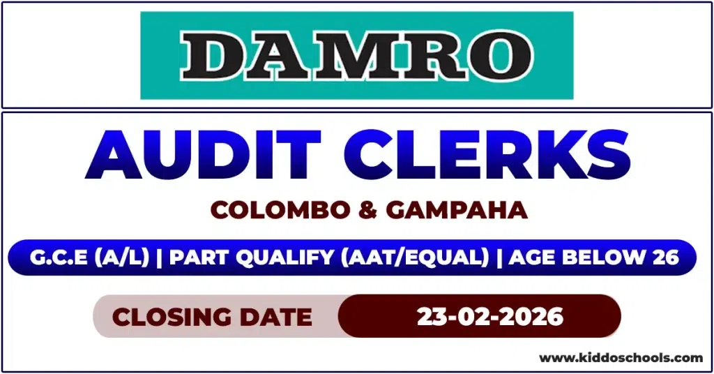 Damro Job Vacancies 2026 - Audit Clerk