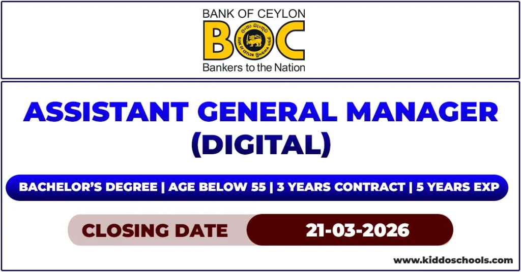 BOC Bank Careers 2026 - Assistant General Manager (Digital)