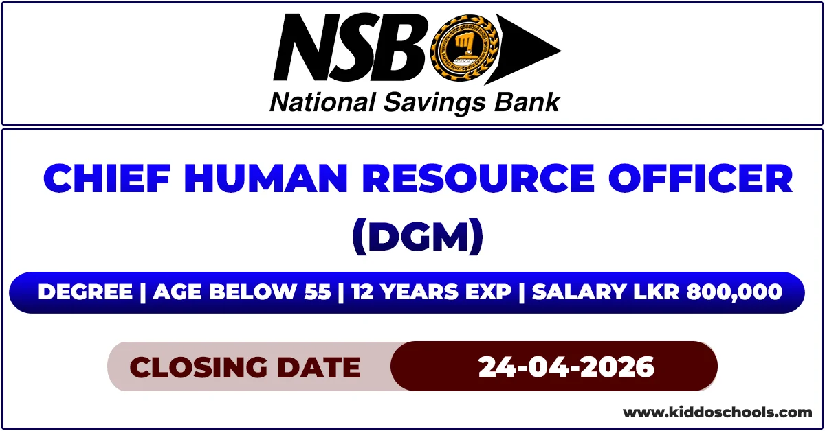 NSB Bank Job Vacancies 2026 - Chief Human Resource Officer (DGM)