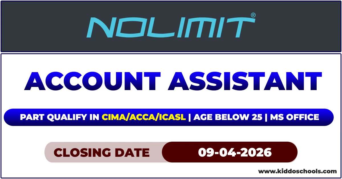Nolimt Job Vacancies 2026 - Account Assistant