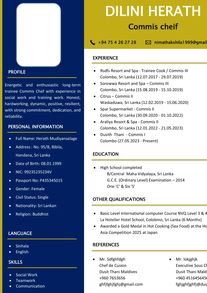 Basic CV Template 11