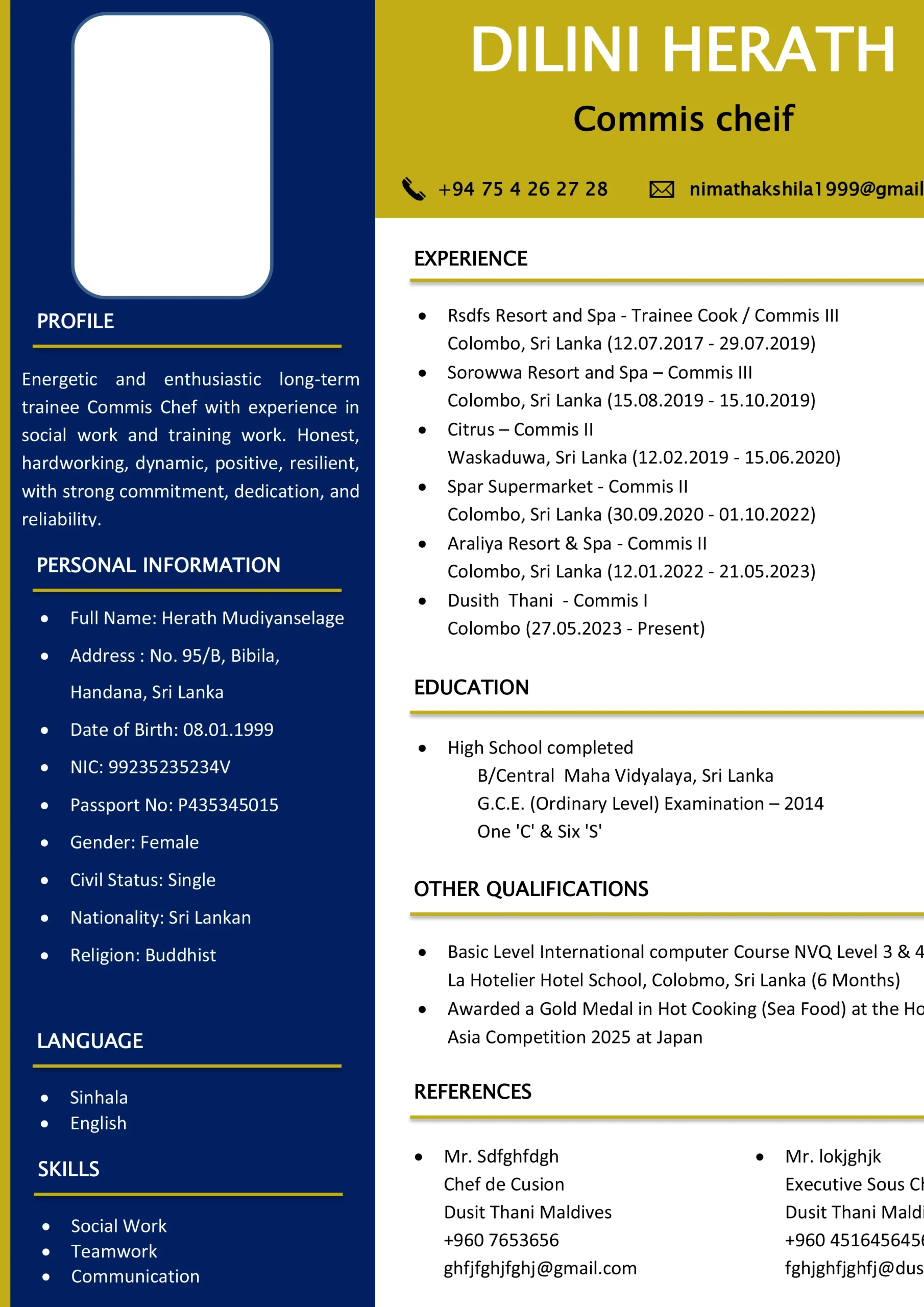 Basic CV Template 11