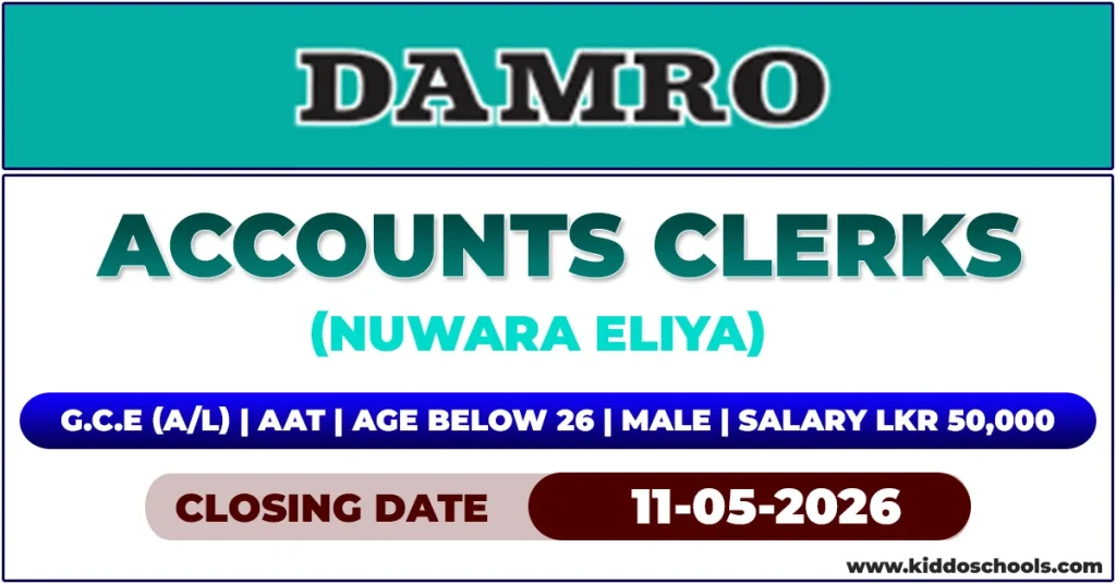 Damro Job Vacancies 2026 - Accounts Clerks
