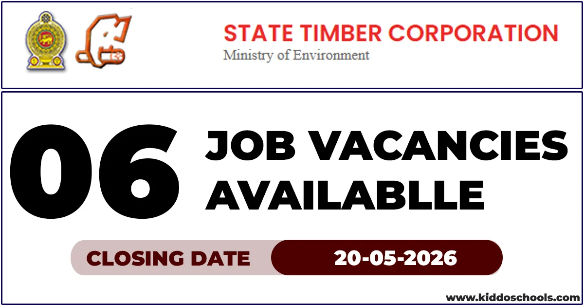 Timber Corporation Vacancies 2026 - Ministry of Environment