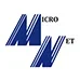 micronet-global-logo 2
